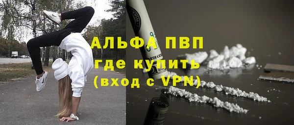 соль ск Алзамай