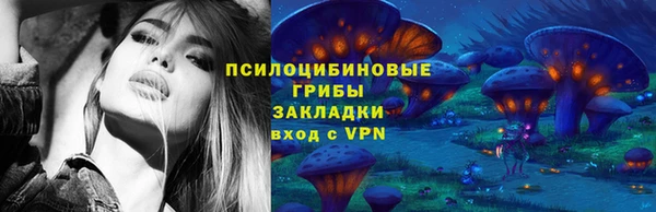 соль ск Алзамай