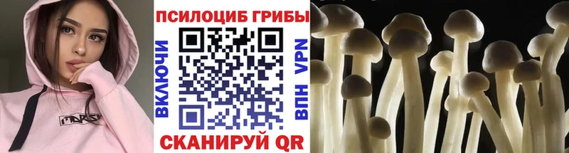 Галлюциногенные грибы Cubensis  ОМГ ОМГ как зайти  Крымск  наркошоп 
