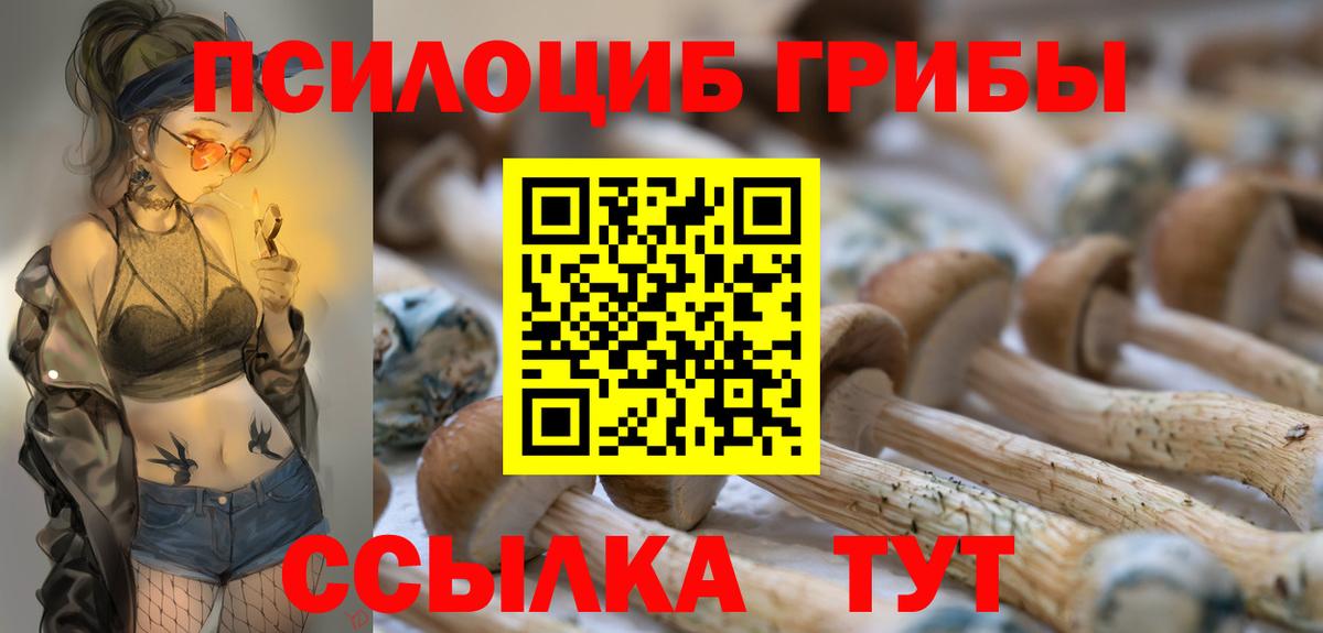 Галлюциногенные грибы Cubensis Крымск